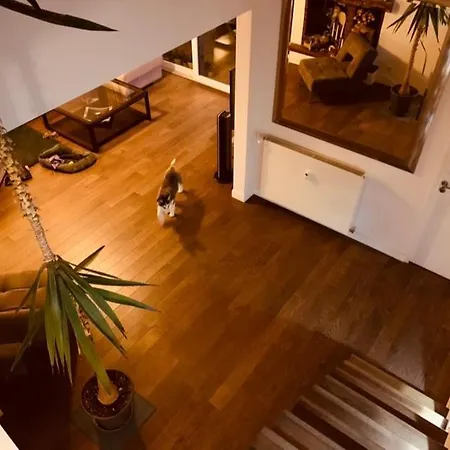 Apartment Panthause Avec 3 A Coucher Pour 6 Personnes Bourg-la-Reine